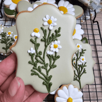 Curso Biscoitos Decorados 11/04/26 09h às 12h30